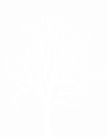 black-and-white-line-point-angle-winter-tree-silhouette-transparent-png-clip-art-image-daad101decd0b79c4a95eb91ca7f5143-e1614945395940